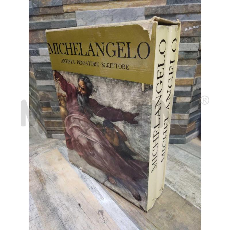LIBRI MICHELANGELO DE AGOSTINI NOVARA 2 VOLUMI | Mercatino dell'Usato Settimo torinese 1