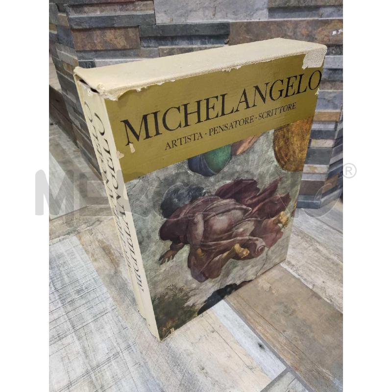 LIBRI MICHELANGELO DE AGOSTINI NOVARA 2 VOLUMI | Mercatino dell'Usato Settimo torinese 3