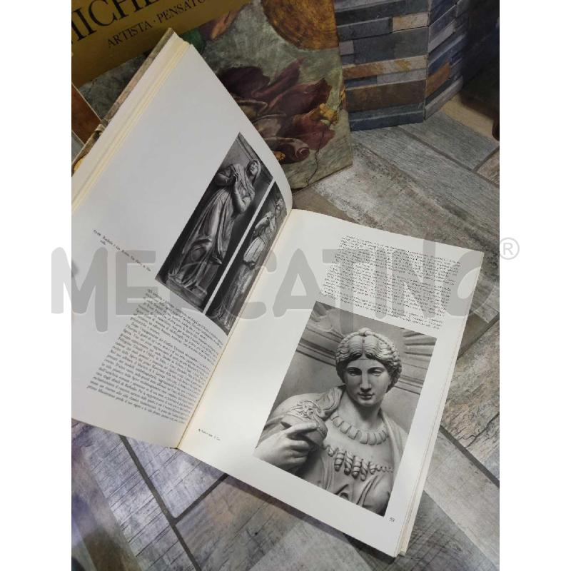 LIBRI MICHELANGELO DE AGOSTINI NOVARA 2 VOLUMI | Mercatino dell'Usato Settimo torinese 4