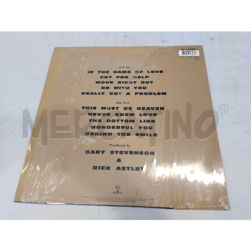 RICK ASTLEY – FREE  | Mercatino dell'Usato Settimo torinese 2