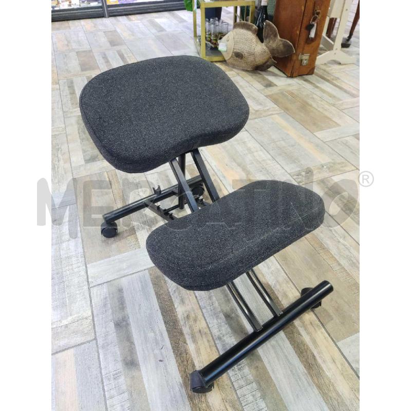 SEDIA ERGONOMICA EIFRED | Mercatino dell'Usato Settimo torinese 1