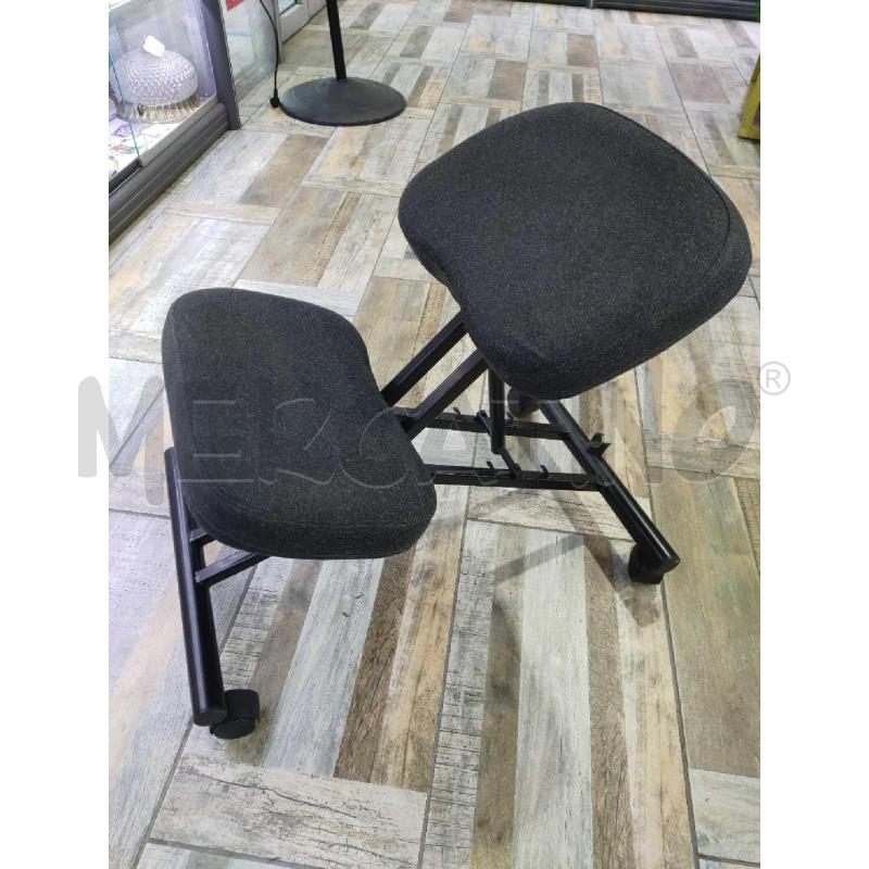 SEDIA ERGONOMICA EIFRED | Mercatino dell'Usato Settimo torinese 2