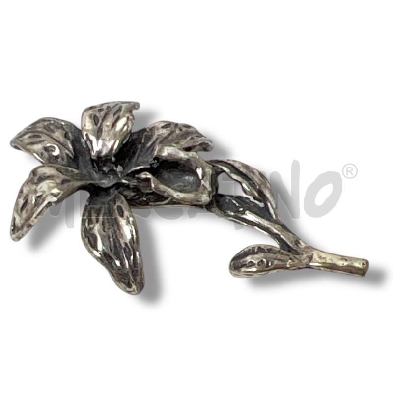 FIORE STELLA ALPINA ARG 800 4.5 CM | Mercatino dell'Usato Rivoli 3
