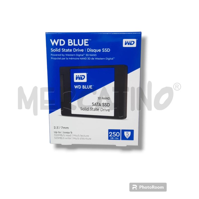 HARD DISK WD BLUE 250 GB | Mercatino dell'Usato Rivoli 1