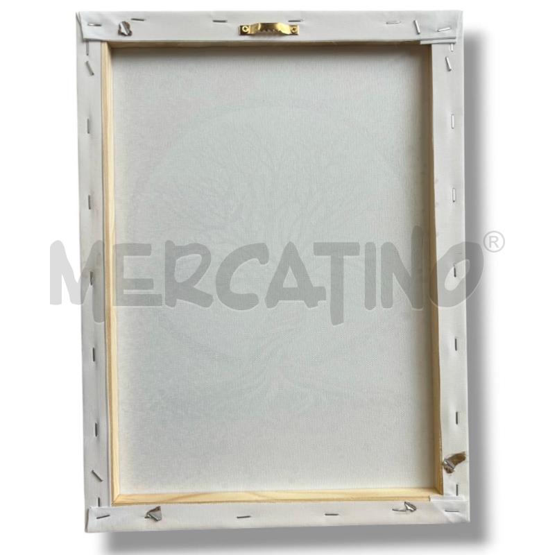 QUADRETTO CANVAS 30X40 ALBERO DELLA VITA | Mercatino dell'Usato Rivoli 2