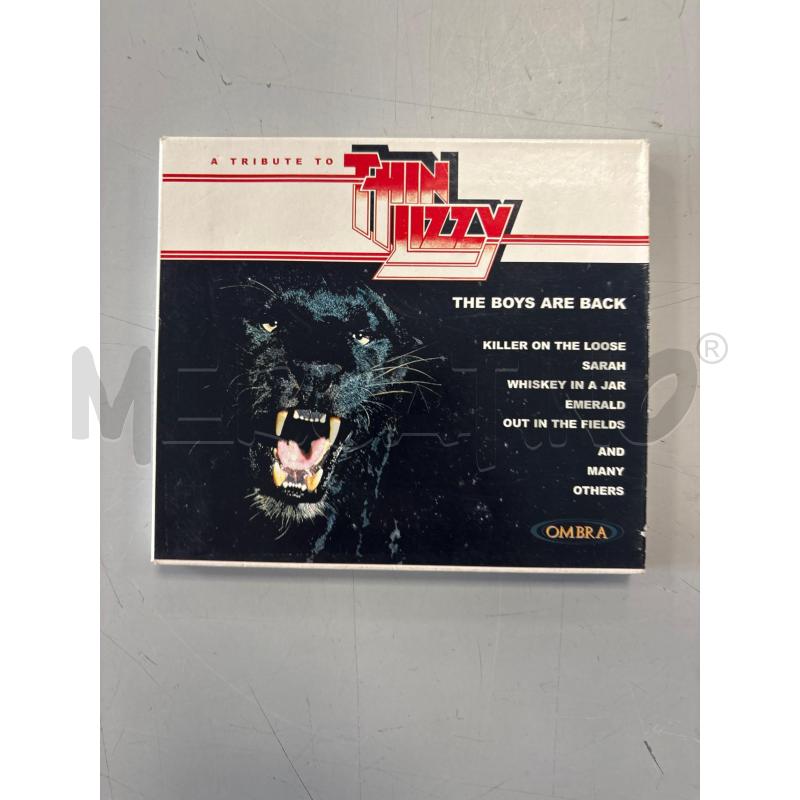 A TRIBUTE TO THIN LIZZY  | Mercatino dell'Usato Rivarolo canavese 1