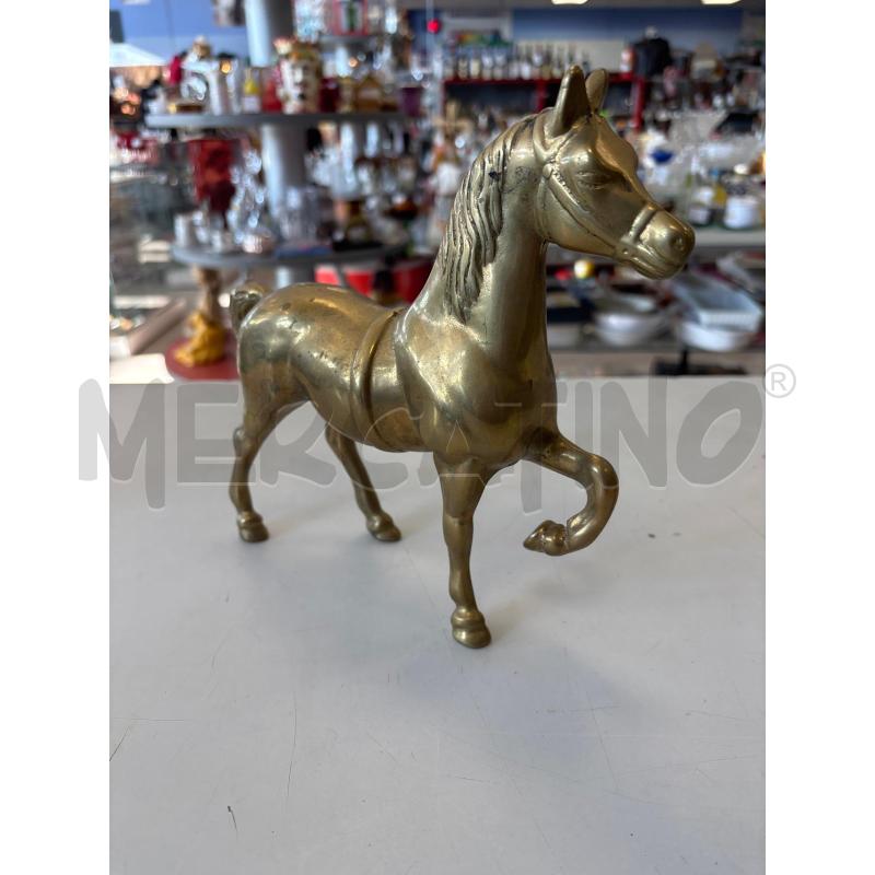 CAVALLO OTTONE | Mercatino dell'Usato Rivarolo canavese 2