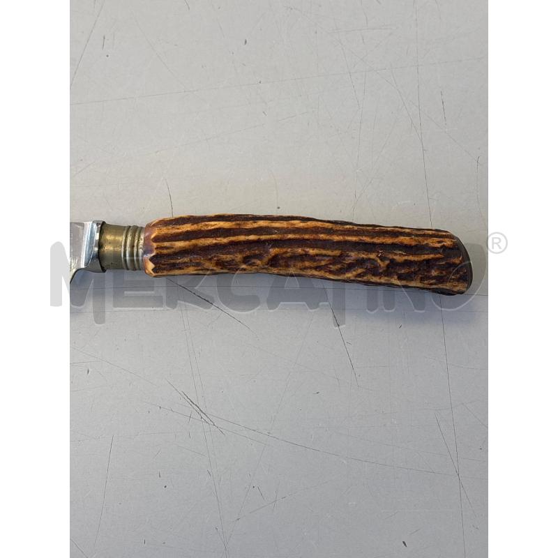 COLTELLO MANICO CERVO SOLINGEN GERMANY WINGEN ROSTFREI  | Mercatino dell'Usato Rivarolo canavese 2