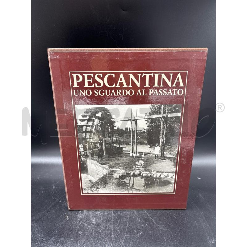 PESCANTINA UNO SGUARDO AL PASSATO  | Mercatino dell'Usato Rivarolo canavese 1