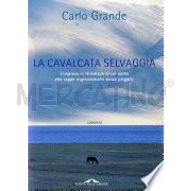 LA CAVALCATA SELVAGGIA | Mercatino dell'Usato Nichelino via scarrone 1