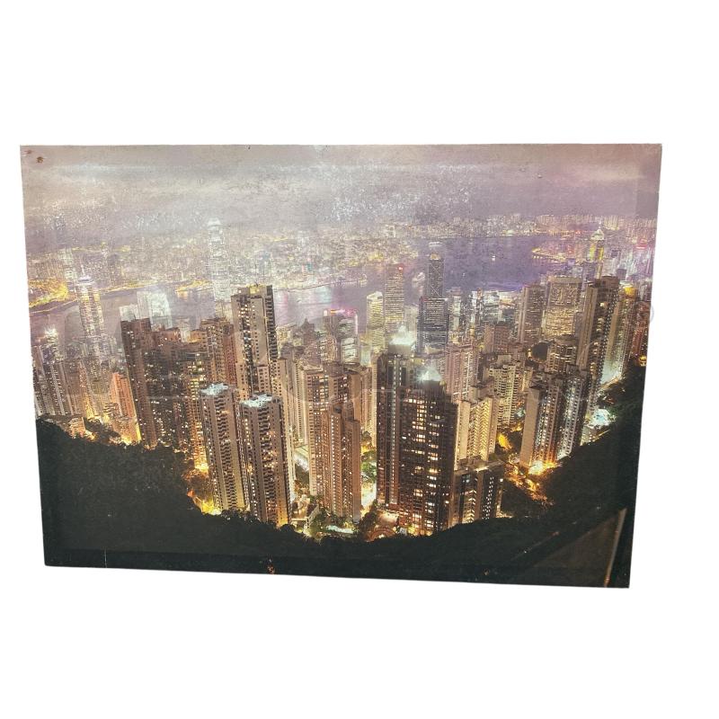 QUADRO CANVAS 40X70 | Mercatino dell'Usato Nichelino via scarrone 1