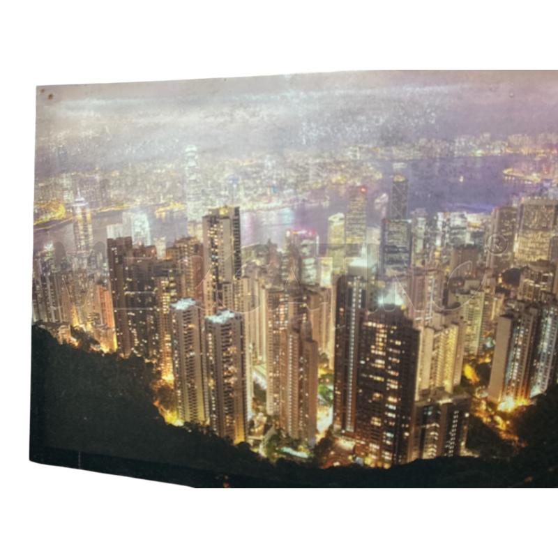 QUADRO CANVAS 40X70 | Mercatino dell'Usato Nichelino via scarrone 2