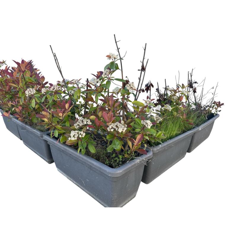VASO VASI PER BALCONE O GIARDINO 7 PZ  | Mercatino dell'Usato Nichelino via scarrone 1