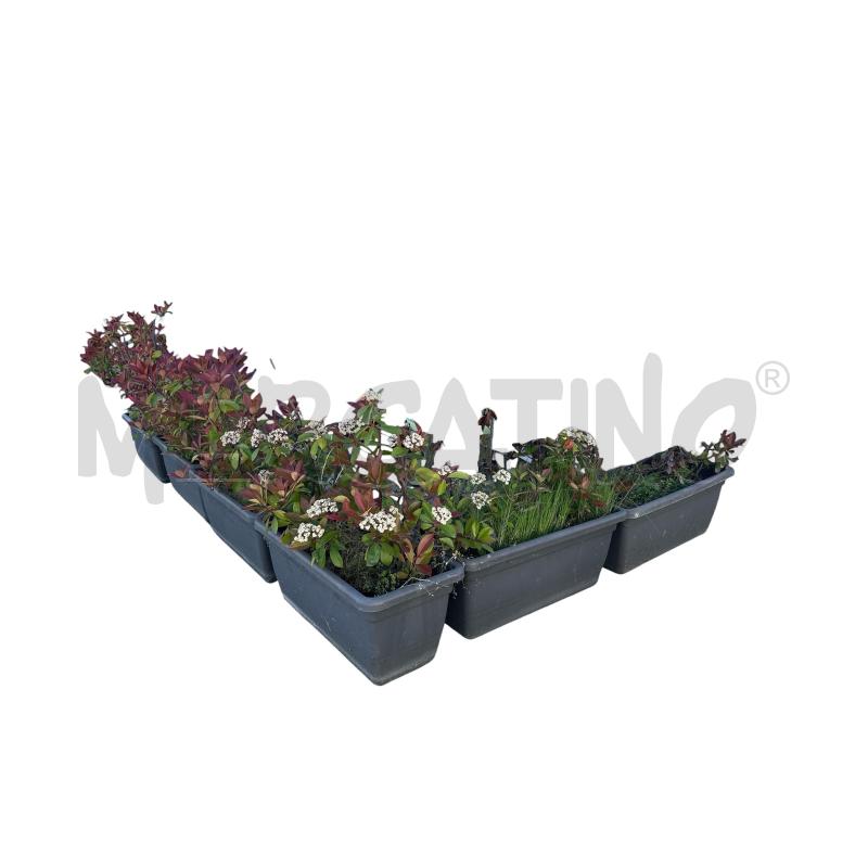 VASO VASI PER BALCONE O GIARDINO 7 PZ  | Mercatino dell'Usato Nichelino via scarrone 2