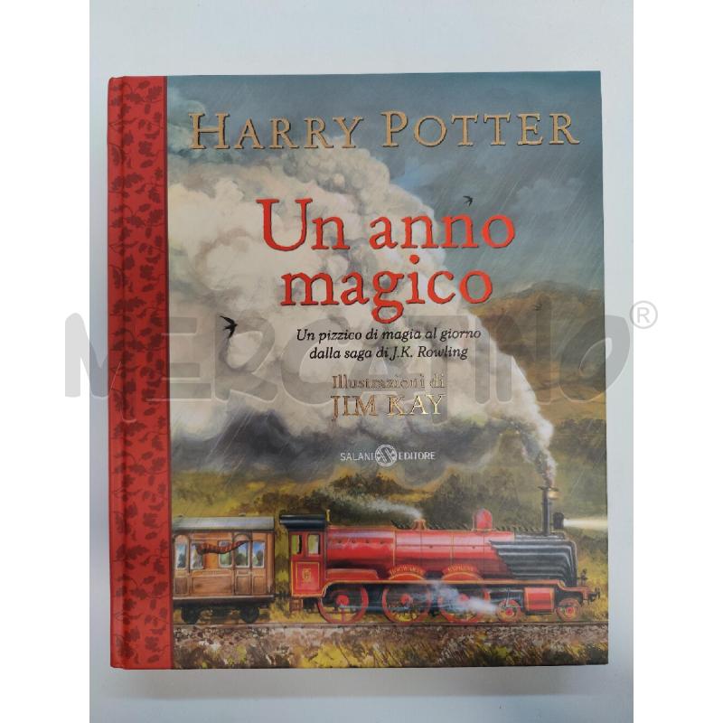 HARRY POTTER UN ANNO MAGICO | Mercatino dell'Usato Leini' 1