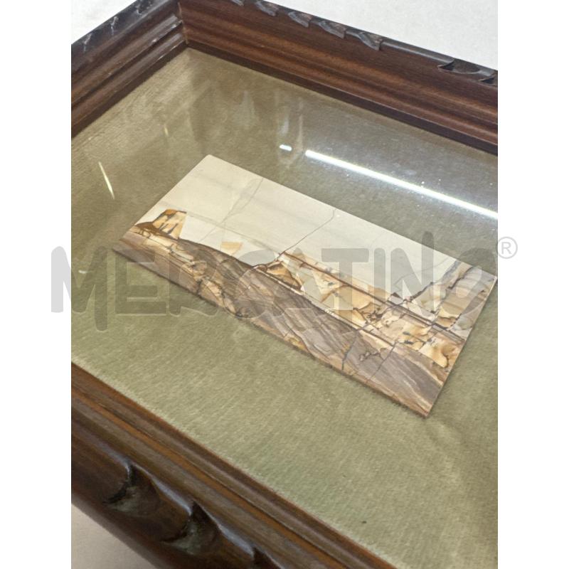 QUADRO FOSSILE | Mercatino dell'Usato Leini' 2