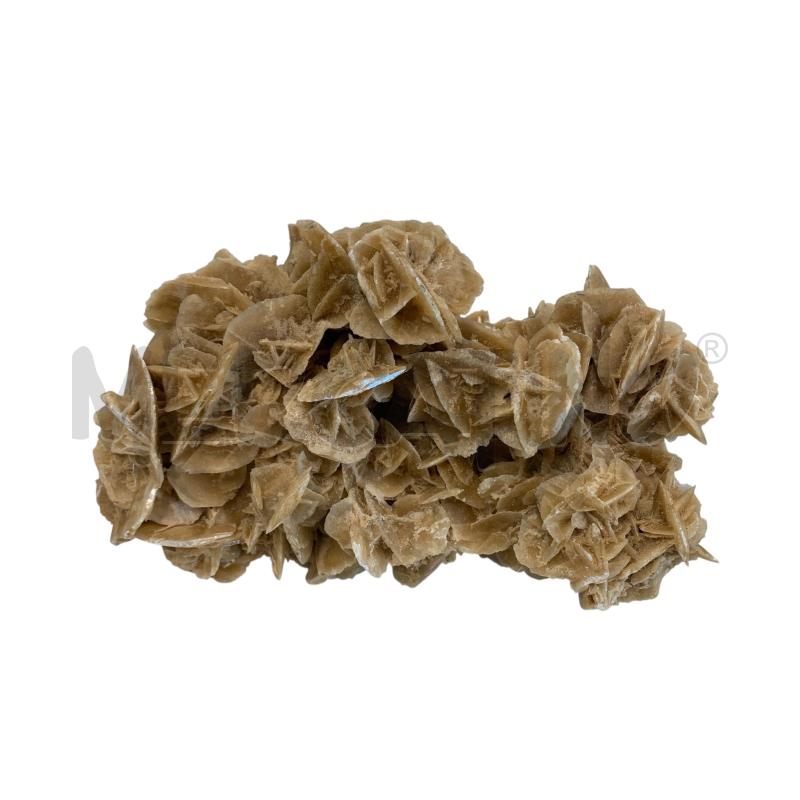 ROSA DEL DESERTO | Mercatino dell'Usato Leini' 1