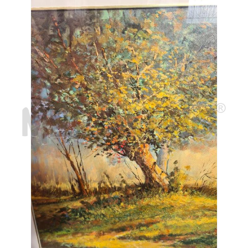 DIPINTO ALBERO AUTUNNALE | Mercatino dell'Usato Burolo 2