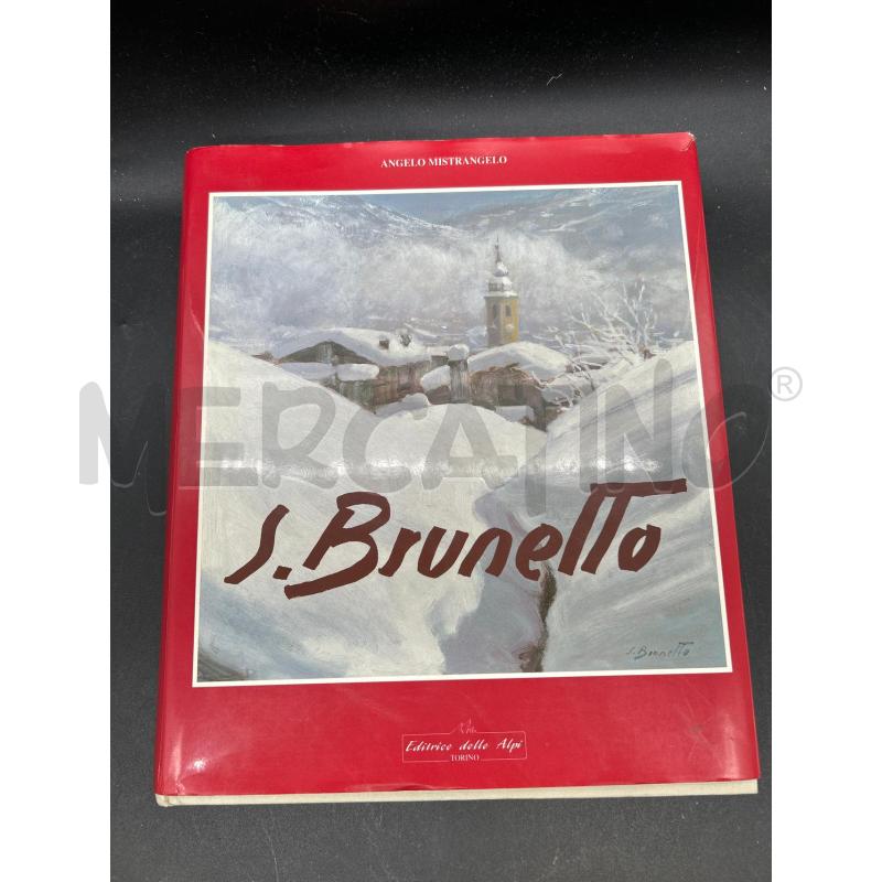 LIBRO ILLUSTRATO TORINO SILVIO BRUNETTO | Mercatino dell'Usato Burolo 1