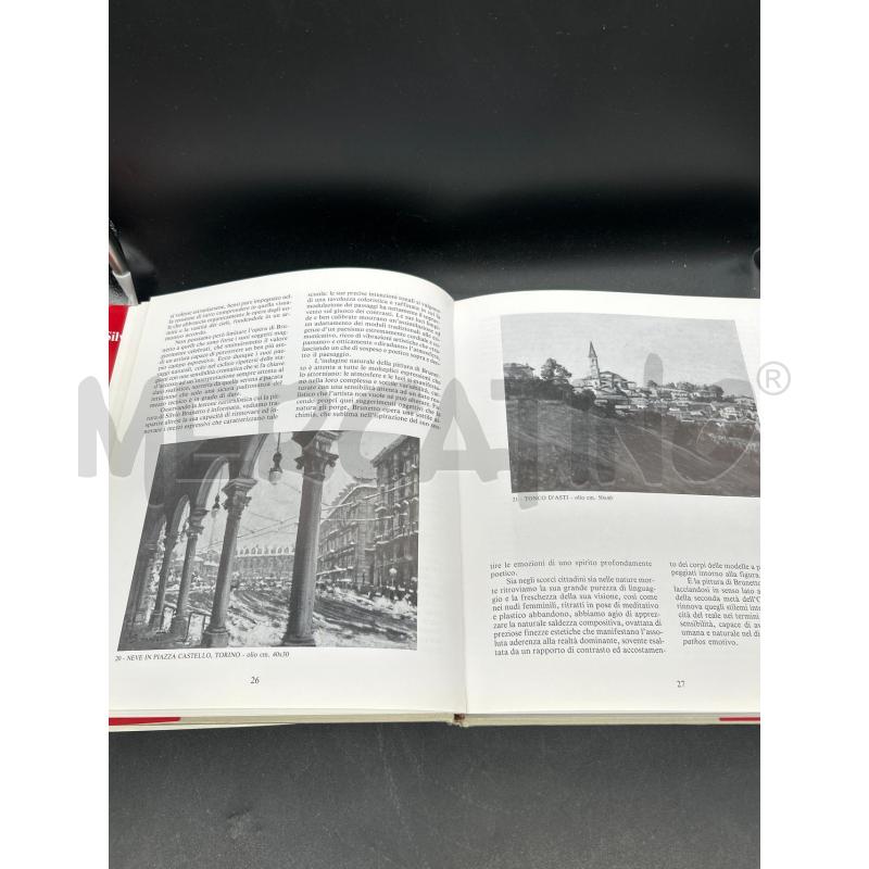 LIBRO ILLUSTRATO TORINO SILVIO BRUNETTO | Mercatino dell'Usato Burolo 3