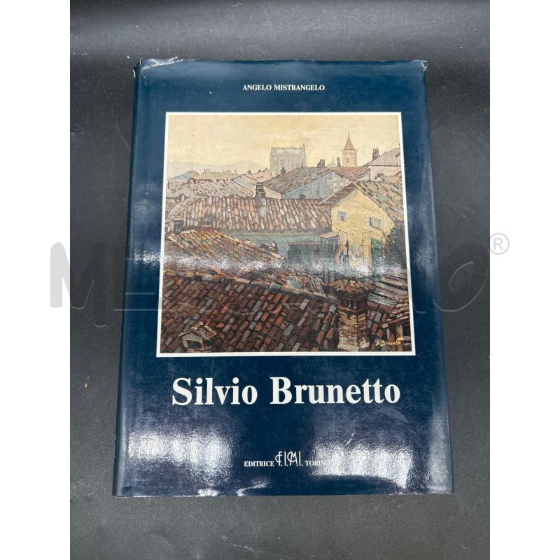 LIBRO ILLUSTRATO TORINO SILVIO BRUNETTO CON AUTOGRAFO  | Mercatino dell'Usato Burolo 1