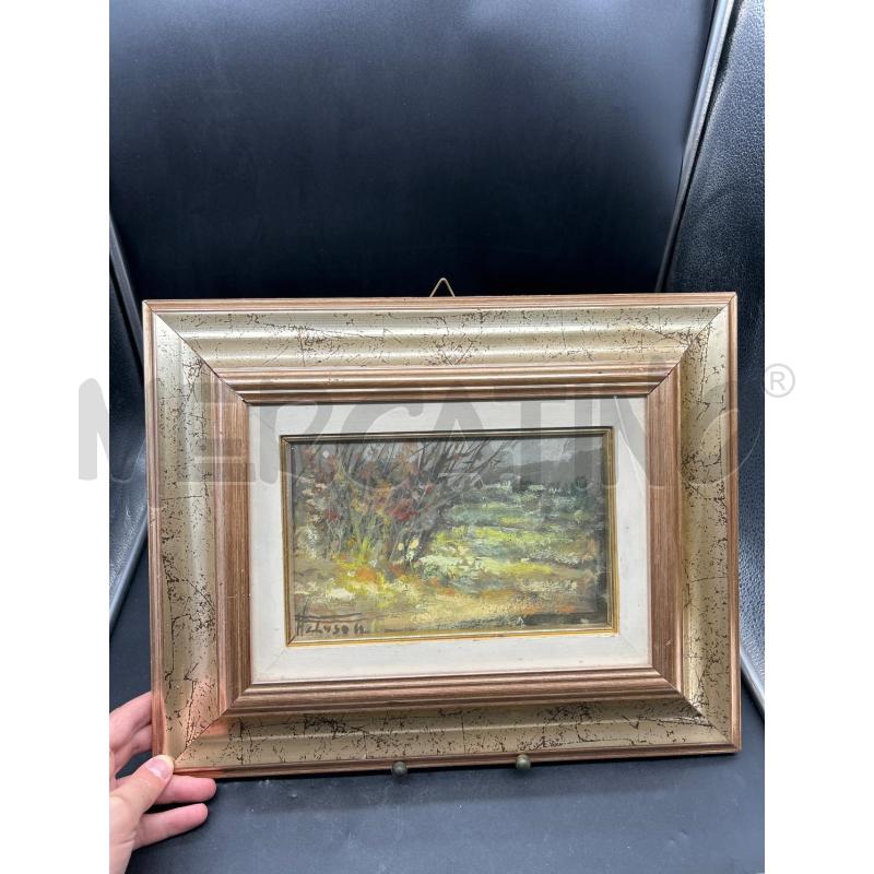 QUADRO DIPINTO PELUSO BOSCAGLIA | Mercatino dell'Usato Burolo 1