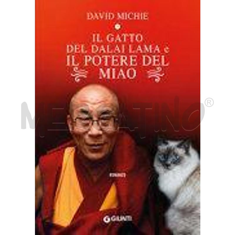 IL GATTO DEL DALAI LAMA E IL POTERE DEL MIAO | Mercatino dell'Usato Torino san paolo 1
