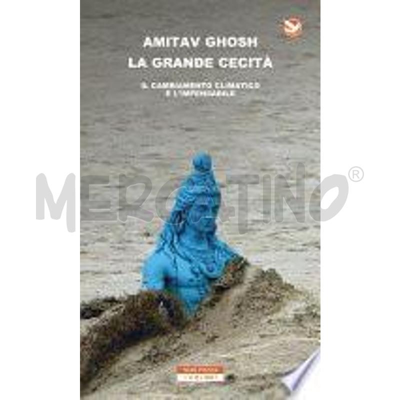 LA GRANDE CECITÀ | Mercatino dell'Usato Torino san paolo 1