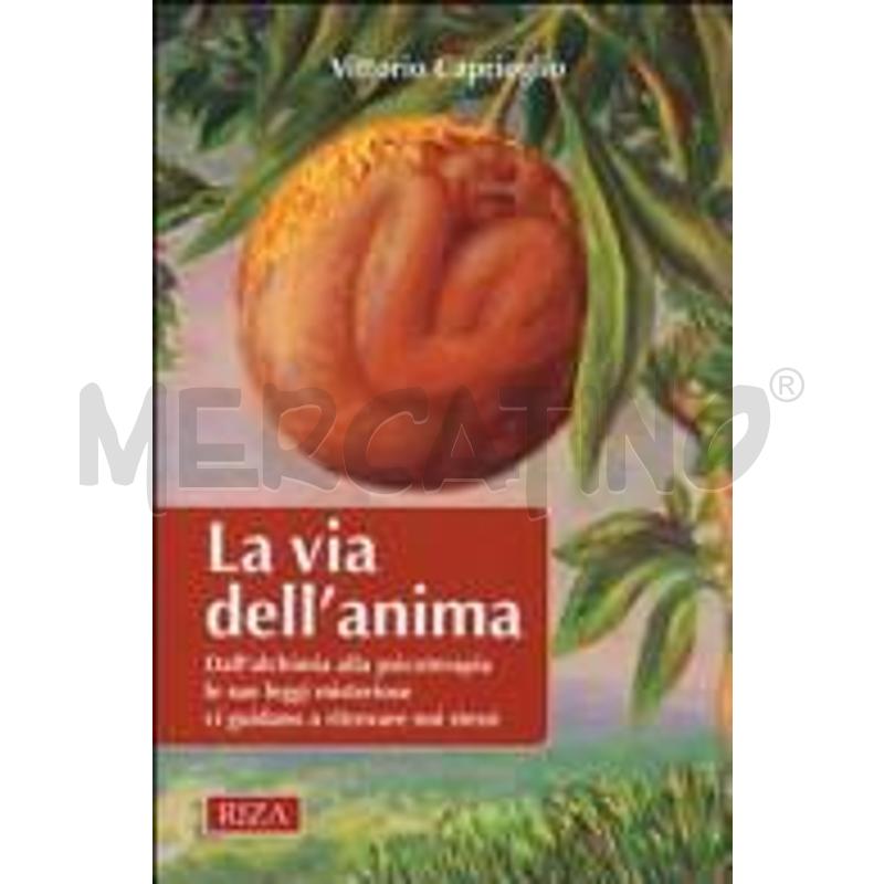 LA VIA DELL'ANIMA. DALL'ALCHIMIA ALLA PSICOTERAPIA | Mercatino dell'Usato Torino san paolo 1