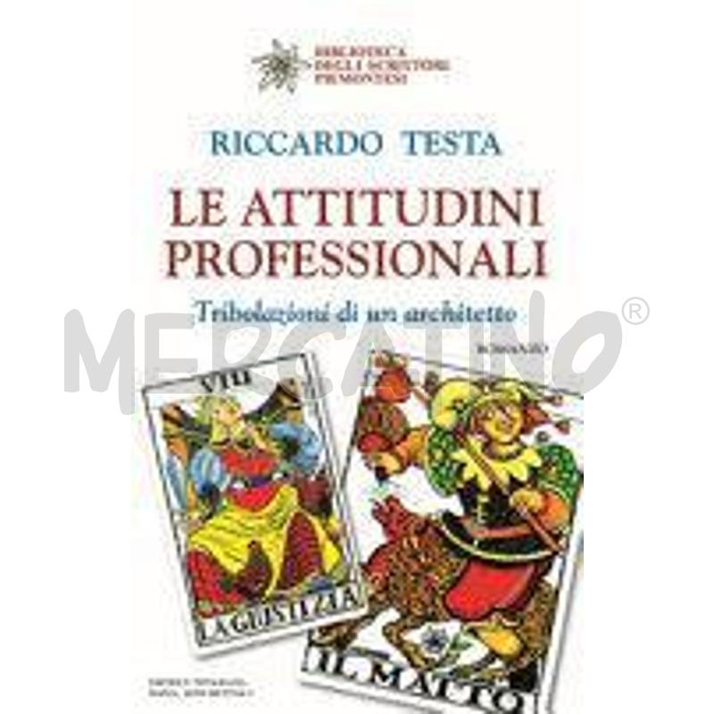LE ATTITUDINI PROFESSIONALI. TRIBOLAZIONI DI UN AR | Mercatino dell'Usato Torino san paolo 1