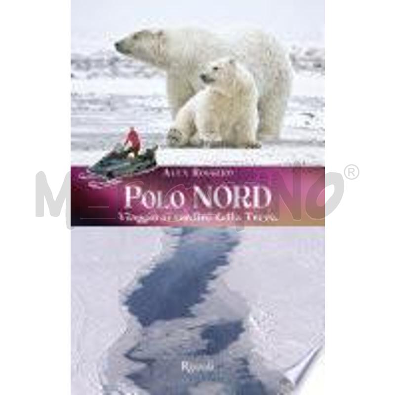POLO NORD, POLO SUD | Mercatino dell'Usato Torino san paolo 1