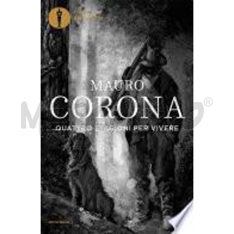 QUATTRO STAGIONI PER VIVERE | Mercatino dell'Usato Torino san paolo 1