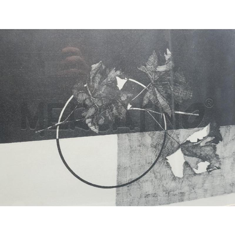 INCISIONE ALFONSO BIROLO  FOGLIE AUTONNO ASTRATTO | Mercatino dell'Usato Torino nizza 2