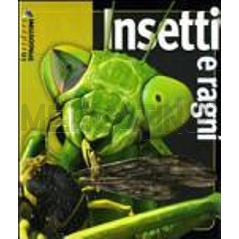INSETTI E RAGNI | Mercatino dell'Usato Torino nizza 1