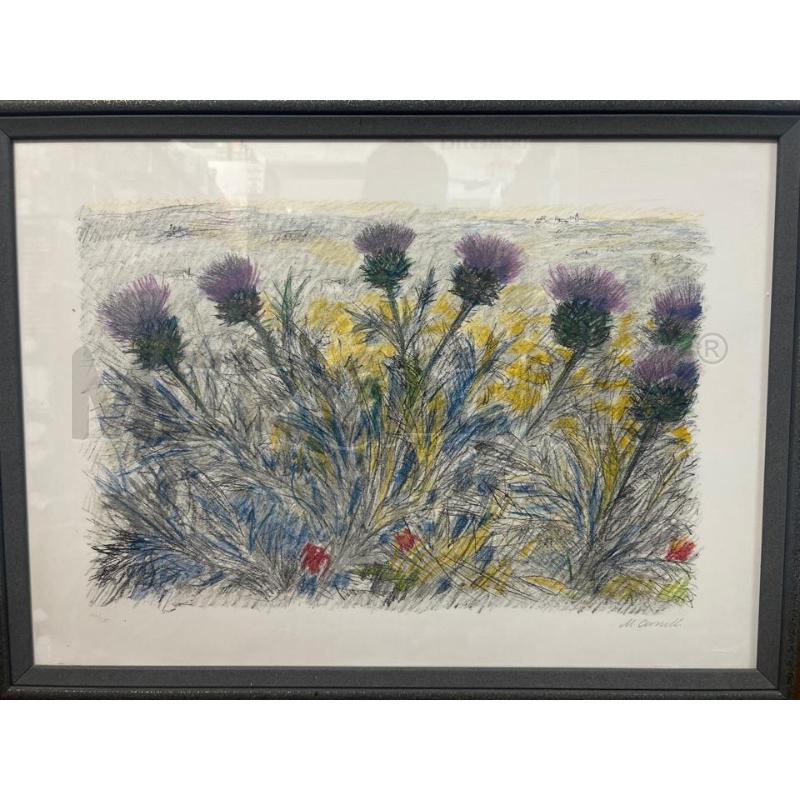 LITOGRAFIA CASCELLA FIORI DI CARCIOFO 14/200 | Mercatino dell'Usato Torino nizza 1