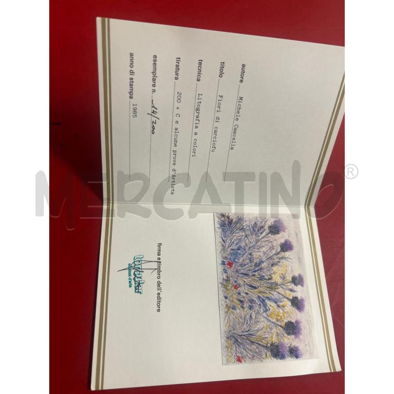 LITOGRAFIA CASCELLA FIORI DI CARCIOFO 14/200 | Mercatino dell'Usato Torino nizza 5