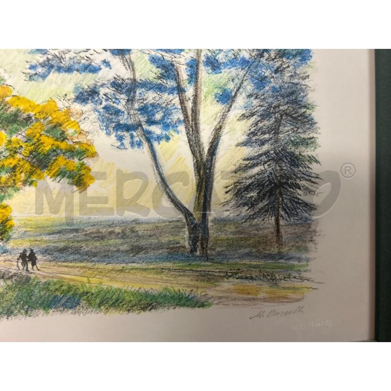 LITOGRAFIA CASCELLA MIMOSA E JACARANDA | Mercatino dell'Usato Torino nizza 2