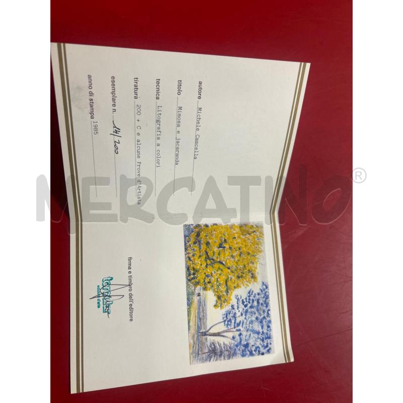 LITOGRAFIA CASCELLA MIMOSA E JACARANDA | Mercatino dell'Usato Torino nizza 5