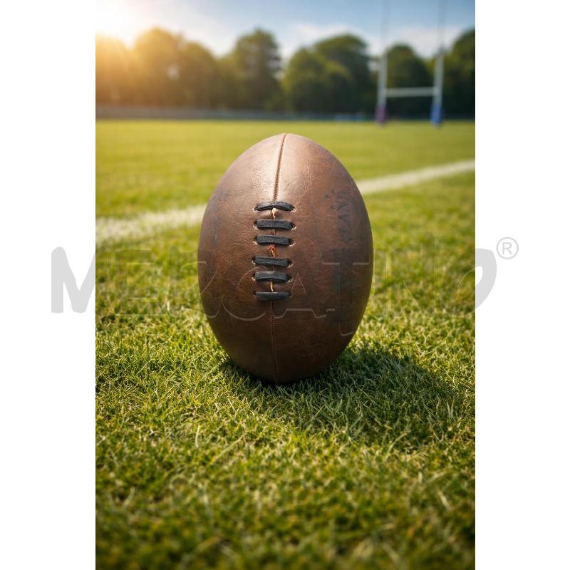 PALLONE RUGBY  | Mercatino dell'Usato Torino nizza 1