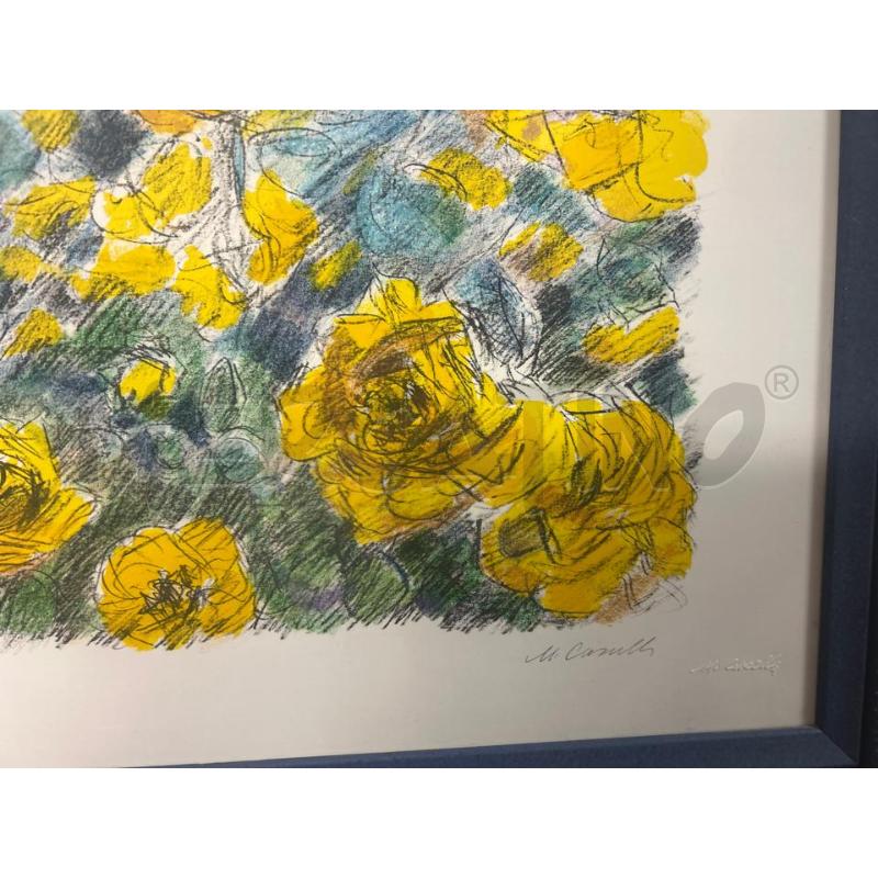 SERIGRAFIA CASCELLA ROSE DI PRESTINORO 14/200 | Mercatino dell'Usato Torino nizza 2