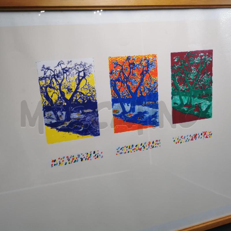 SERIGRAFIA GIORGIO CARTASSA BOSCO 2 | Mercatino dell'Usato Torino nizza 4