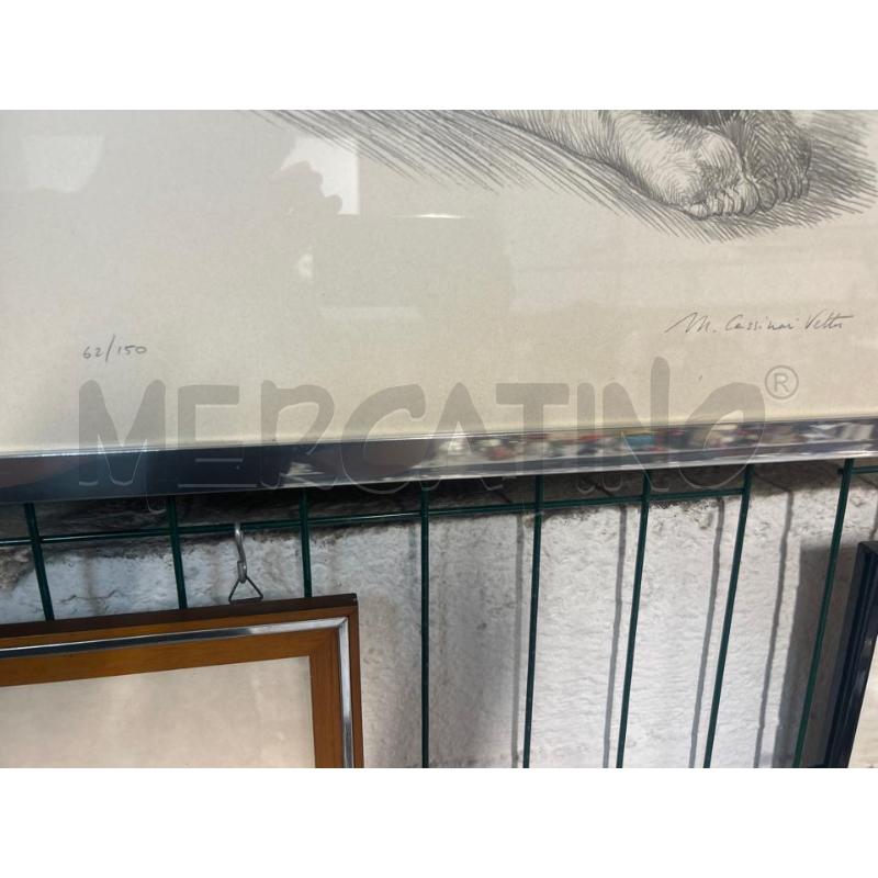 SERIGRAFIA MARCELLO CASSINARI VETTEL  | Mercatino dell'Usato Torino nizza 3