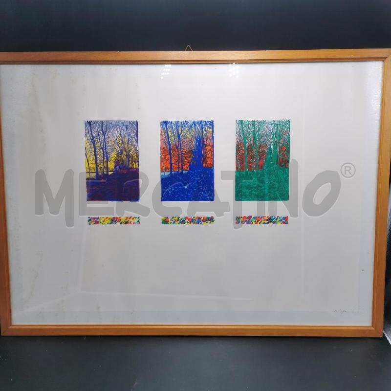 SERIGRAFIA SU CARTA IMMAGINE BOSCO | Mercatino dell'Usato Torino nizza 1