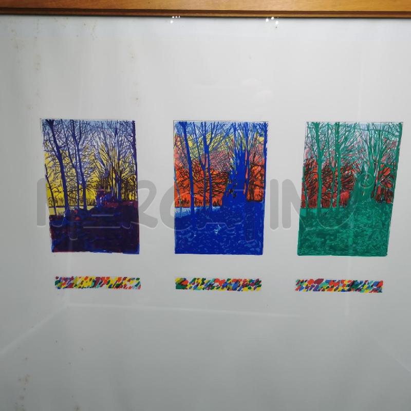 SERIGRAFIA SU CARTA IMMAGINE BOSCO | Mercatino dell'Usato Torino nizza 5