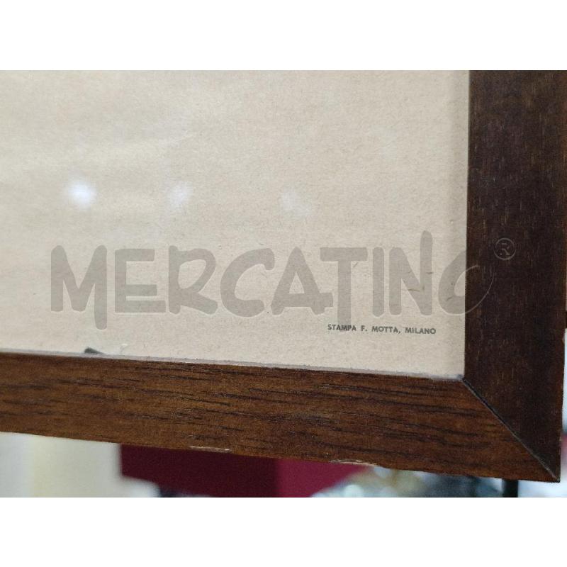 STAMPA DI PURIFICATO PINOCCHIO | Mercatino dell'Usato Torino nizza 3
