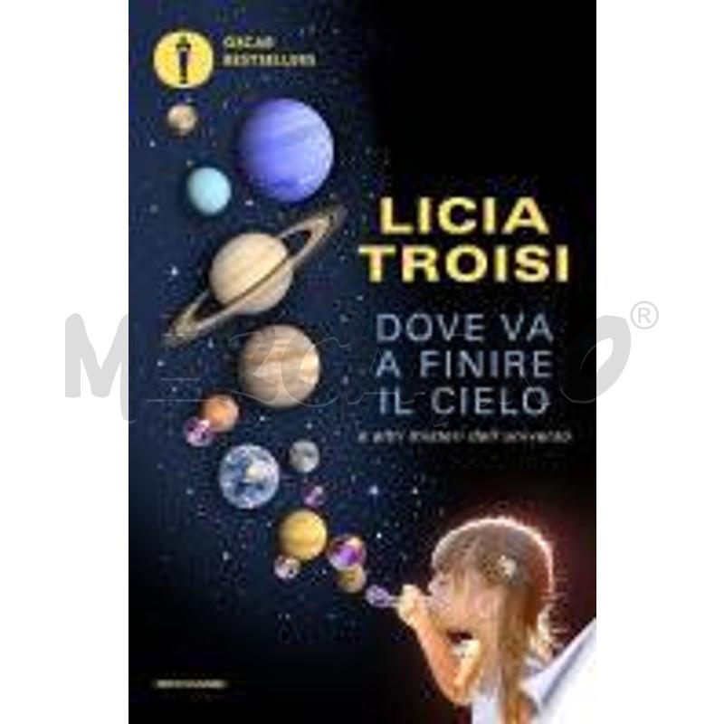 DOVE VA A FINIRE IL CIELO | Mercatino dell'Usato Alpignano 1