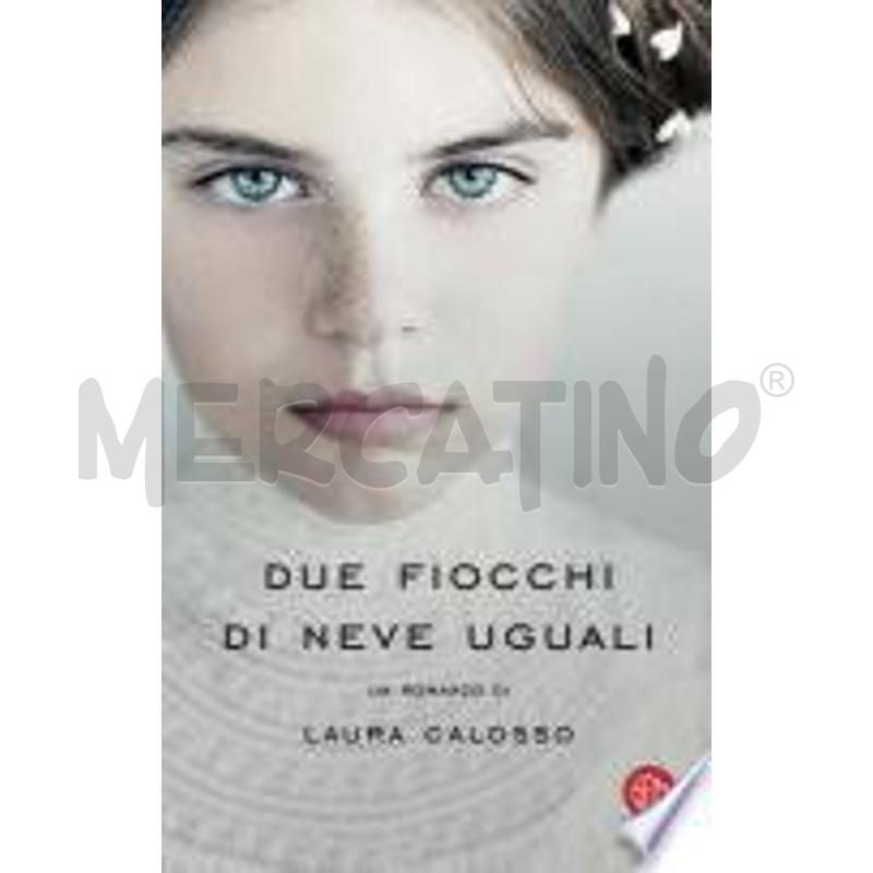 DUE FIOCCHI DI NEVE UGUALI | Mercatino dell'Usato Alpignano 1