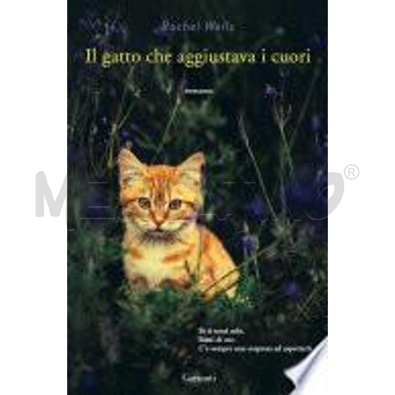 IL GATTO CHE AGGIUSTAVA I CUORI | Mercatino dell'Usato Alpignano 1