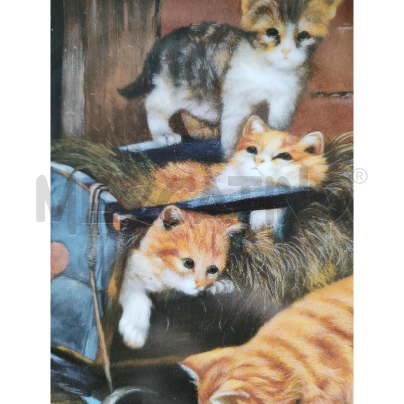 PIATTO KAISER 1991 GATTI NELLA CULLA | Mercatino dell'Usato Alpignano 4