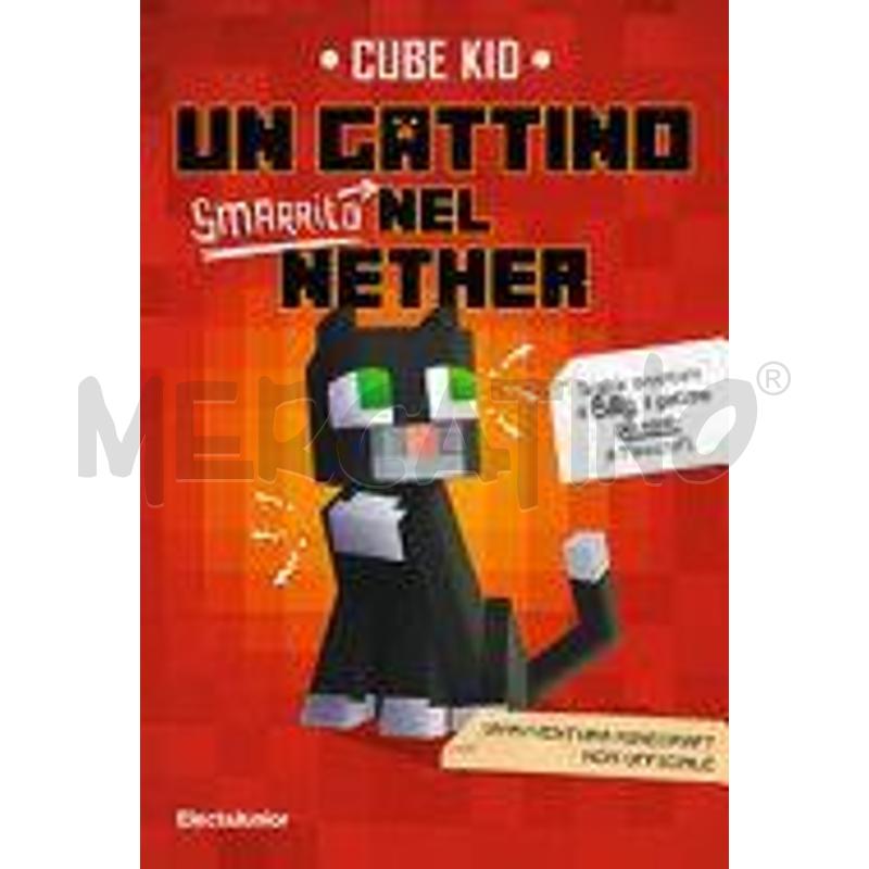 UN GATTINO SMARRITO NEL NETHER | Mercatino dell'Usato Alpignano 1